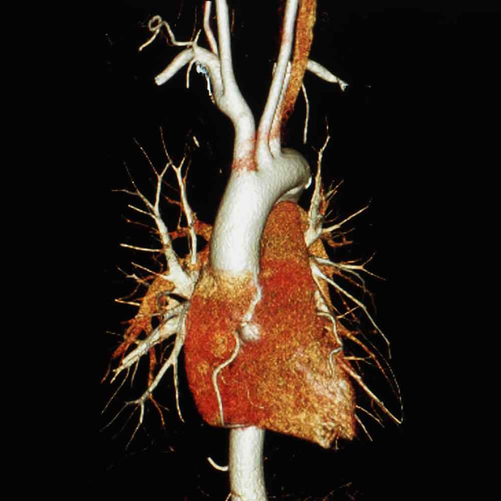 inner_image_02 https://www.asemhairtransplant.com/wp-content/uploads/2021/08/inner_image_02.jpg