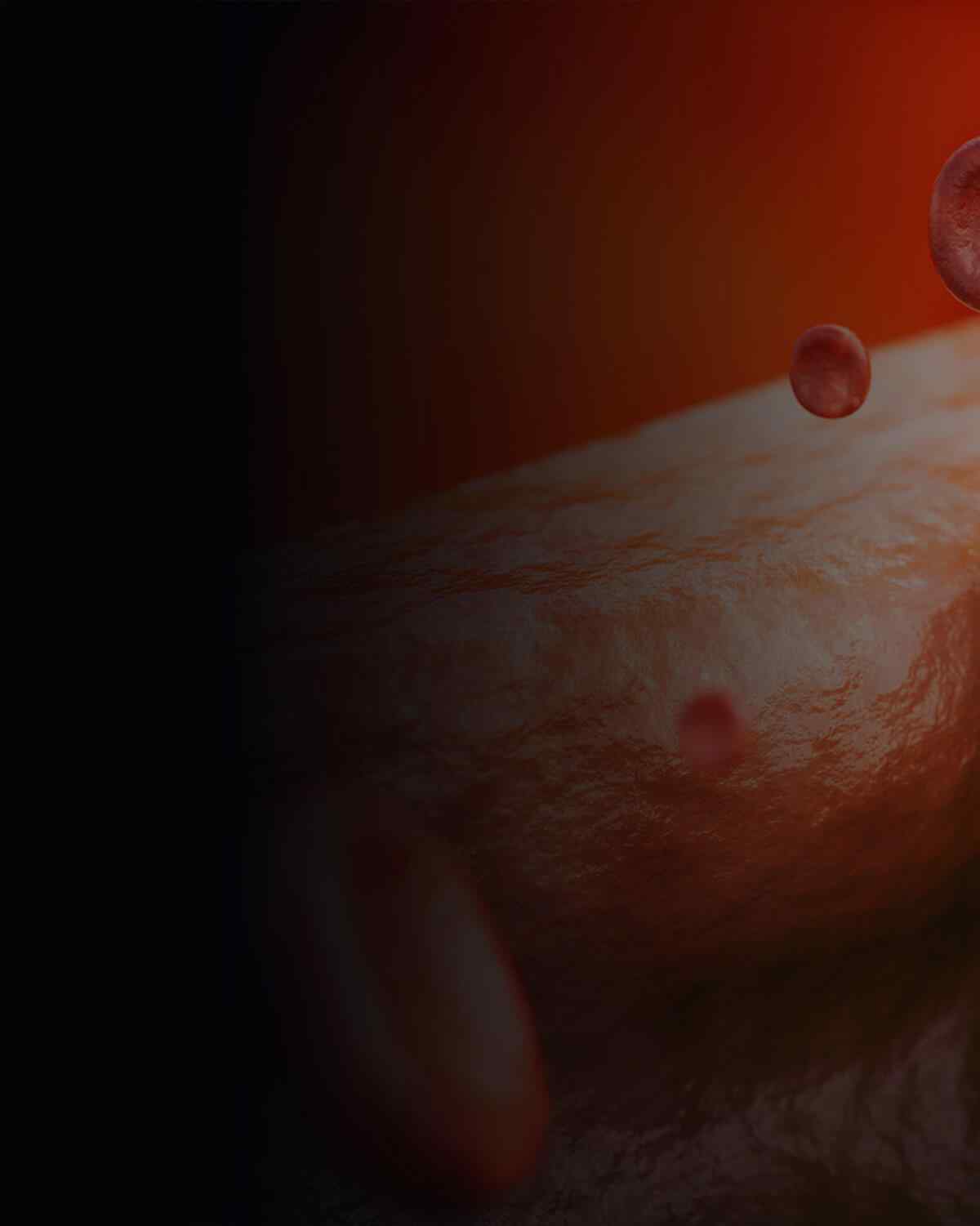https://www.asemhairtransplant.com/wp-content/uploads/2021/08/interactive_image_left.jpg